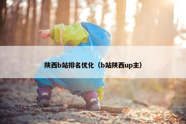 陕西b站排名优化（b站陕西up主）