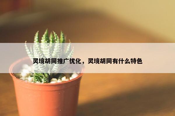 灵境胡同推广优化，灵境胡同有什么特色