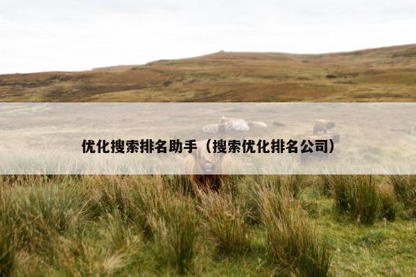 优化搜索排名助手（搜索优化排名公司）