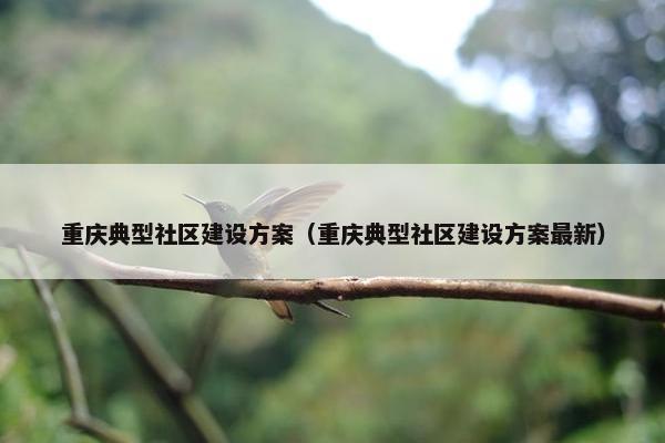 重庆典型社区建设方案（重庆典型社区建设方案最新）