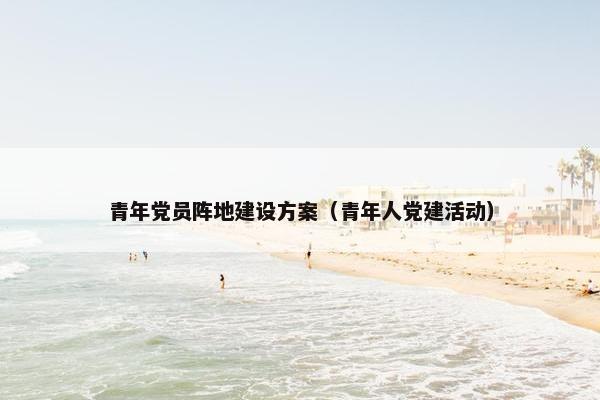 青年党员阵地建设方案（青年人党建活动）