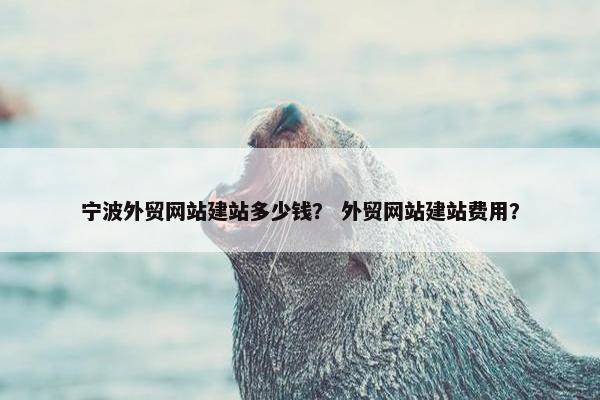 宁波外贸网站建站多少钱？ 外贸网站建站费用？