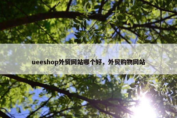 ueeshop外贸网站哪个好，外贸购物网站