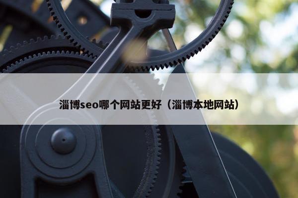 淄博seo哪个网站更好（淄博本地网站）