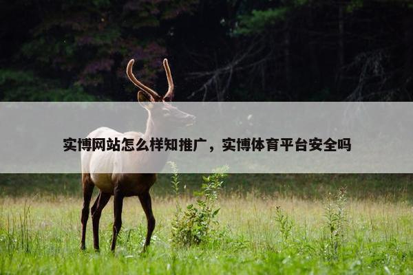 实博网站怎么样知推广，实博体育平台安全吗