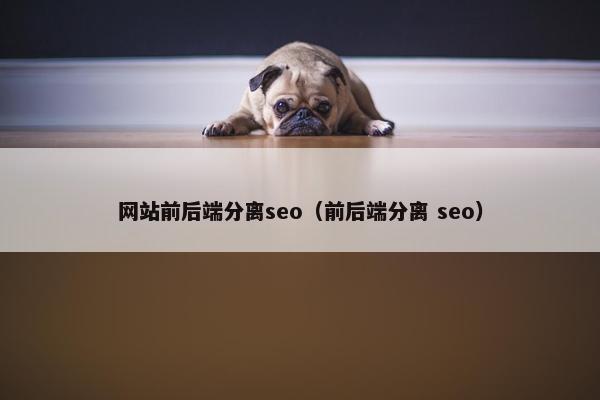 网站前后端分离seo（前后端分离 seo）