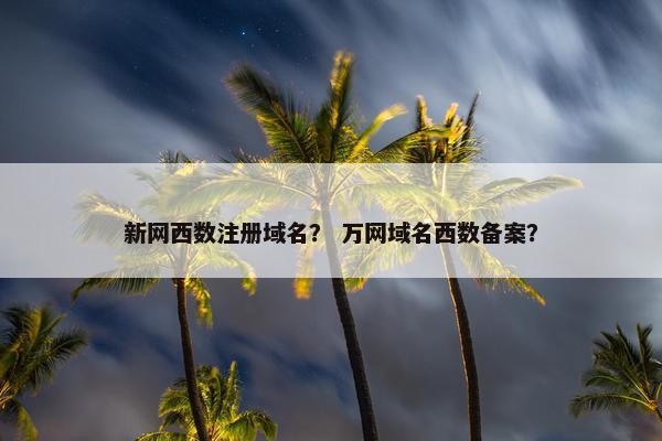 新网西数注册域名？ 万网域名西数备案？