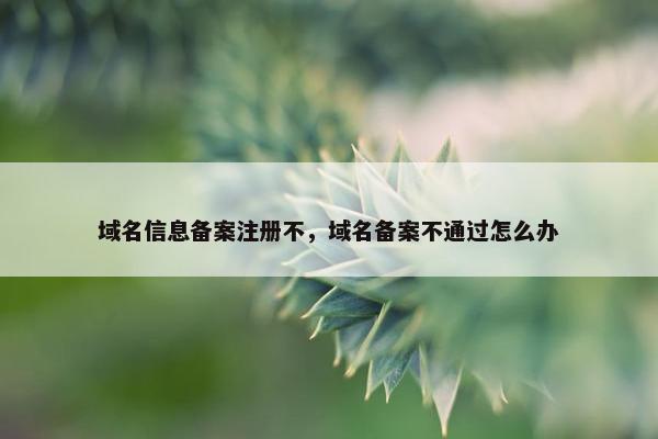 域名信息备案注册不，域名备案不通过怎么办