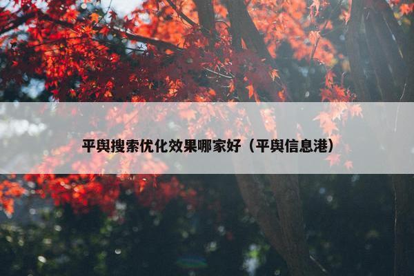平舆搜索优化效果哪家好（平舆信息港）