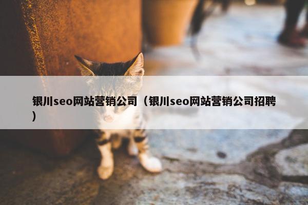 银川seo网站营销公司（银川seo网站营销公司招聘）