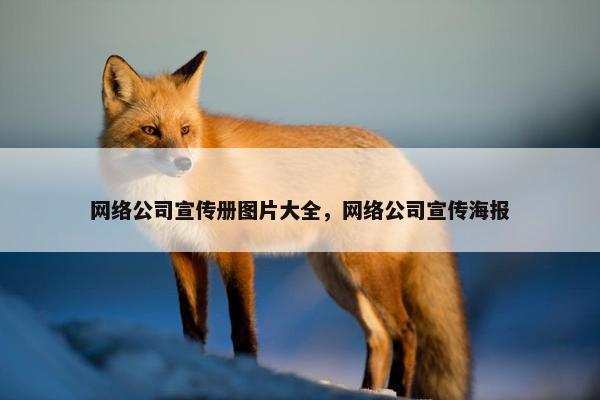 网络公司宣传册图片大全，网络公司宣传海报