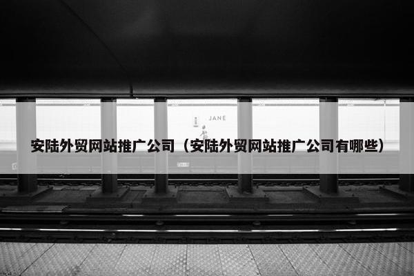 安陆外贸网站推广公司（安陆外贸网站推广公司有哪些）