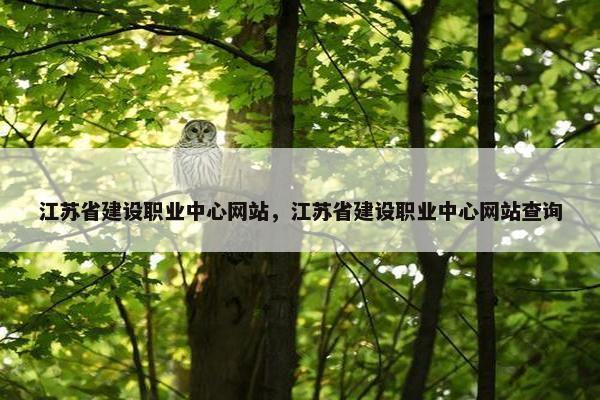 江苏省建设职业中心网站，江苏省建设职业中心网站查询