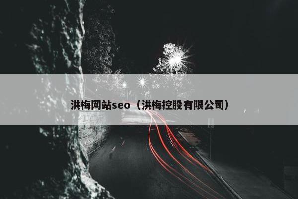 洪梅网站seo（洪梅控股有限公司）