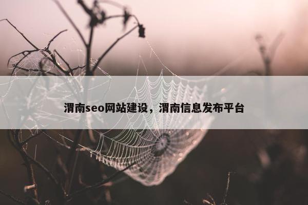 渭南seo网站建设，渭南信息发布平台