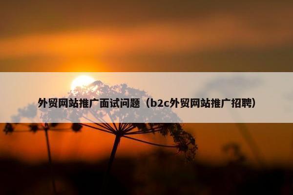 外贸网站推广面试问题（b2c外贸网站推广招聘）