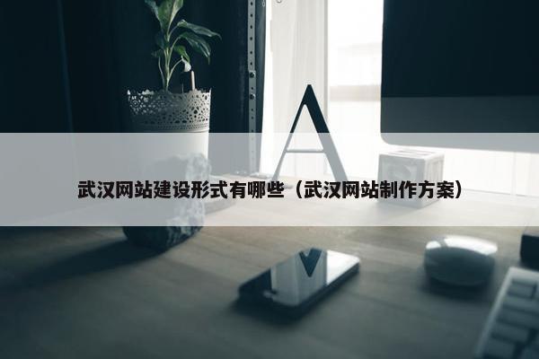 武汉网站建设形式有哪些（武汉网站制作方案）