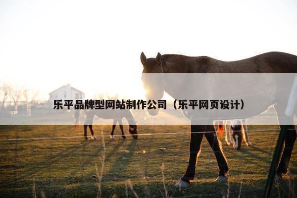 乐平品牌型网站制作公司（乐平网页设计）