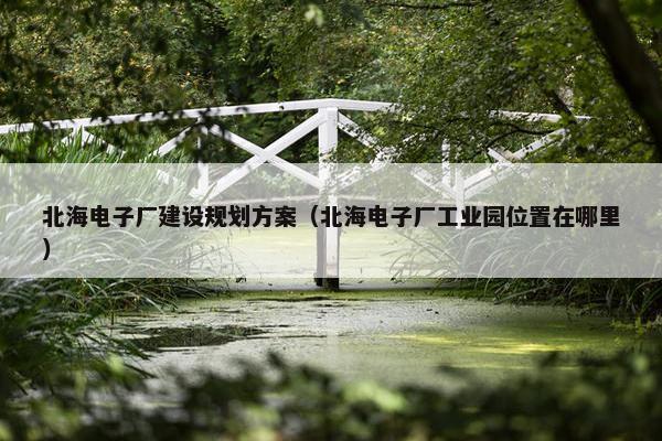 北海电子厂建设规划方案（北海电子厂工业园位置在哪里）