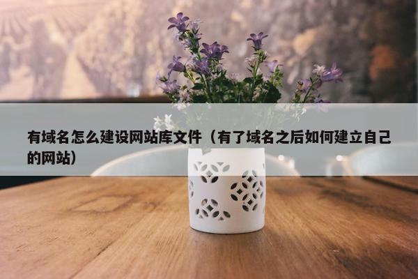 有域名怎么建设网站库文件（有了域名之后如何建立自己的网站）