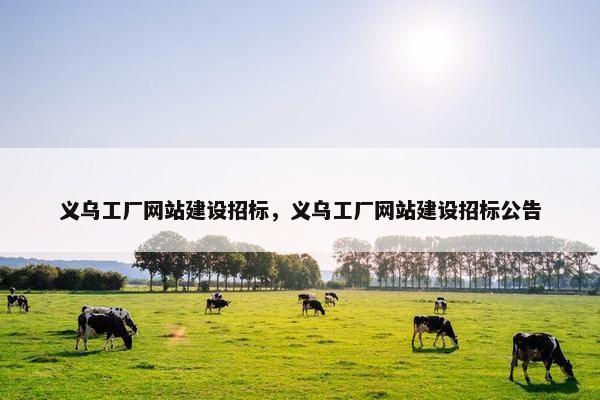 义乌工厂网站建设招标，义乌工厂网站建设招标公告