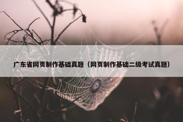 广东省网页制作基础真题（网页制作基础二级考试真题）