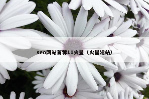 seo网站首荐11火星（火星建站）