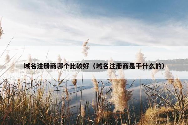 域名注册商哪个比较好（域名注册商是干什么的）