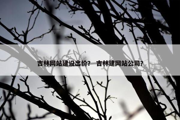 吉林网站建设出价？ 吉林建网站公司？