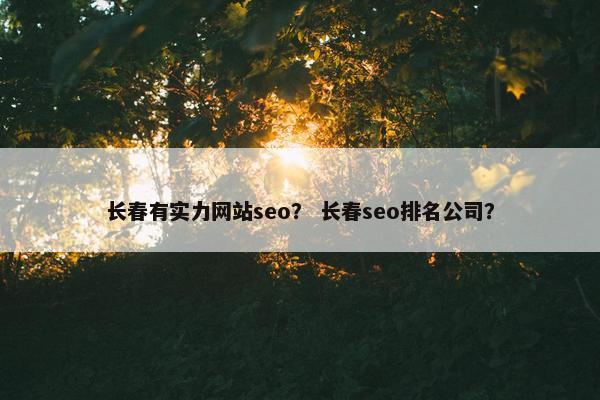 长春有实力网站seo？ 长春seo排名公司？