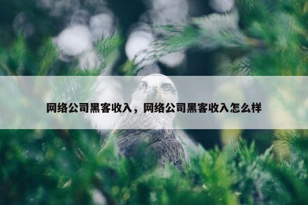网络公司黑客收入，网络公司黑客收入怎么样