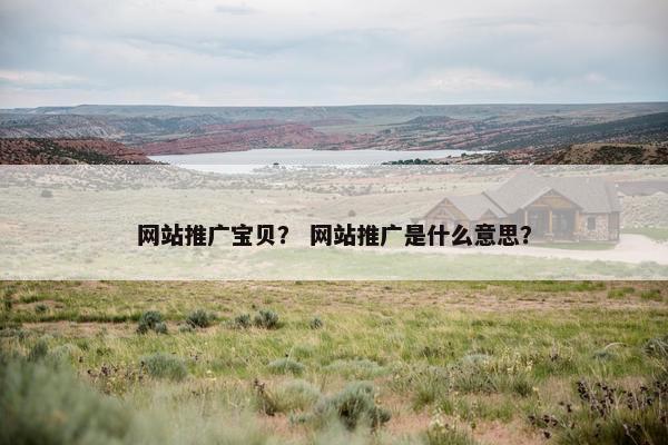网站推广宝贝？ 网站推广是什么意思？