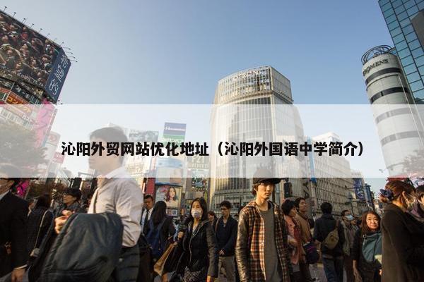 沁阳外贸网站优化地址（沁阳外国语中学简介）