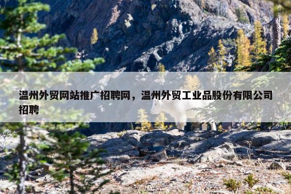 温州外贸网站推广招聘网，温州外贸工业品股份有限公司招聘