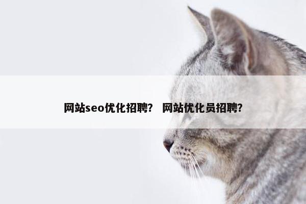 网站seo优化招聘？ 网站优化员招聘？