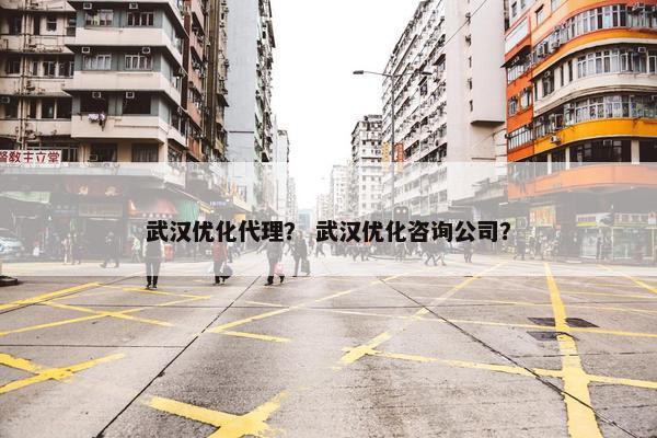 武汉优化代理？ 武汉优化咨询公司？