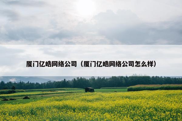 厦门亿皓网络公司（厦门亿皓网络公司怎么样）