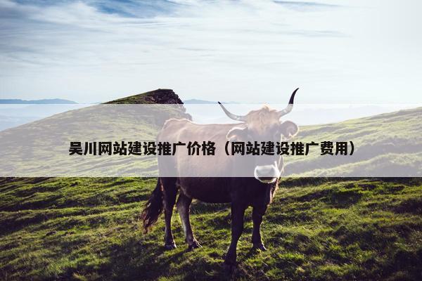 吴川网站建设推广价格（网站建设推广费用）