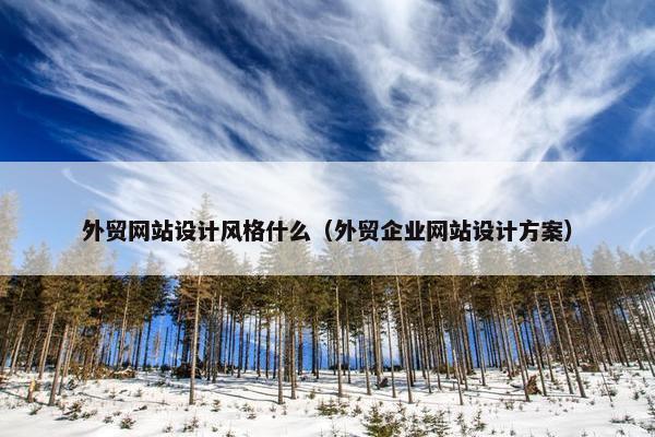 外贸网站设计风格什么（外贸企业网站设计方案）