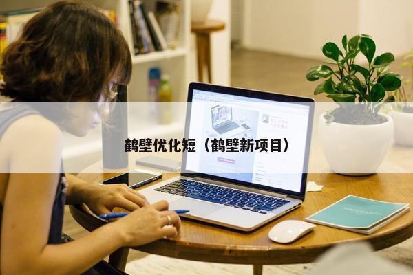 鹤壁优化短（鹤壁新项目）
