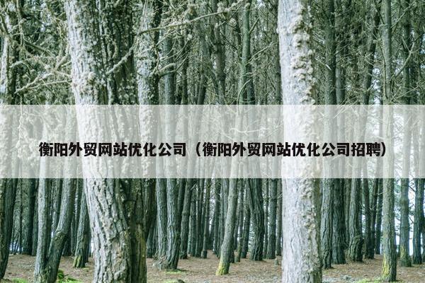 衡阳外贸网站优化公司（衡阳外贸网站优化公司招聘）