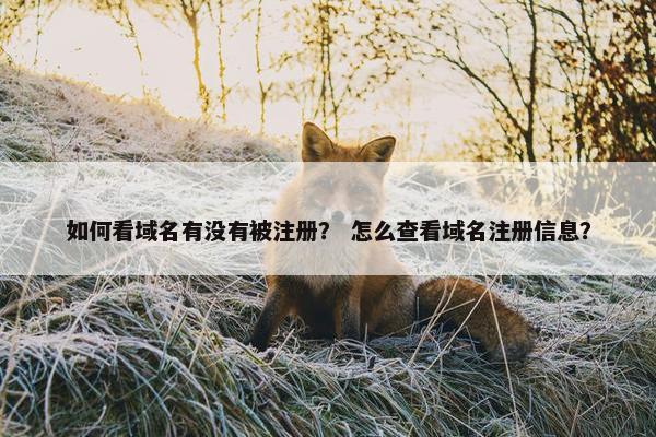 如何看域名有没有被注册？ 怎么查看域名注册信息？
