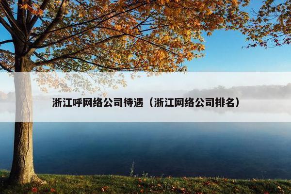 浙江呼网络公司待遇（浙江网络公司排名）