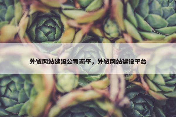 外贸网站建设公司南平，外贸网站建设平台