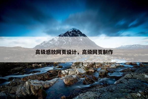 高级感放网页设计，高级网页制作