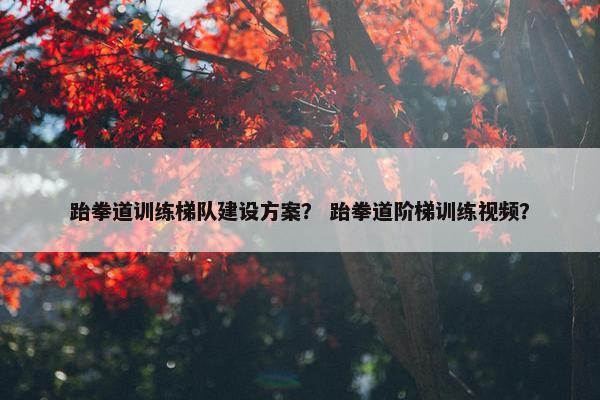 跆拳道训练梯队建设方案？ 跆拳道阶梯训练视频？