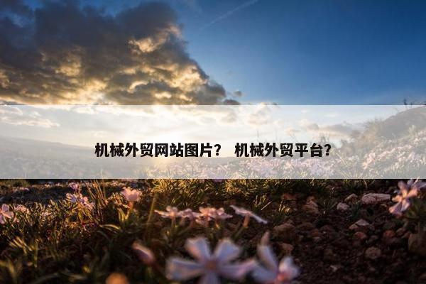 机械外贸网站图片？ 机械外贸平台？