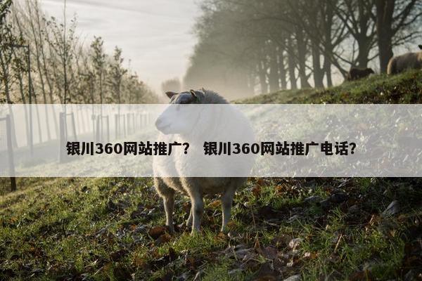 银川360网站推广？ 银川360网站推广电话？