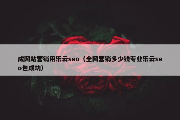 成网站营销用乐云seo（全网营销多少钱专业乐云seo包成功）