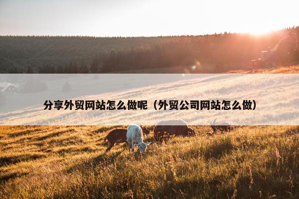 分享外贸网站怎么做呢（外贸公司网站怎么做）